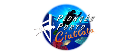 Plongée Porto
